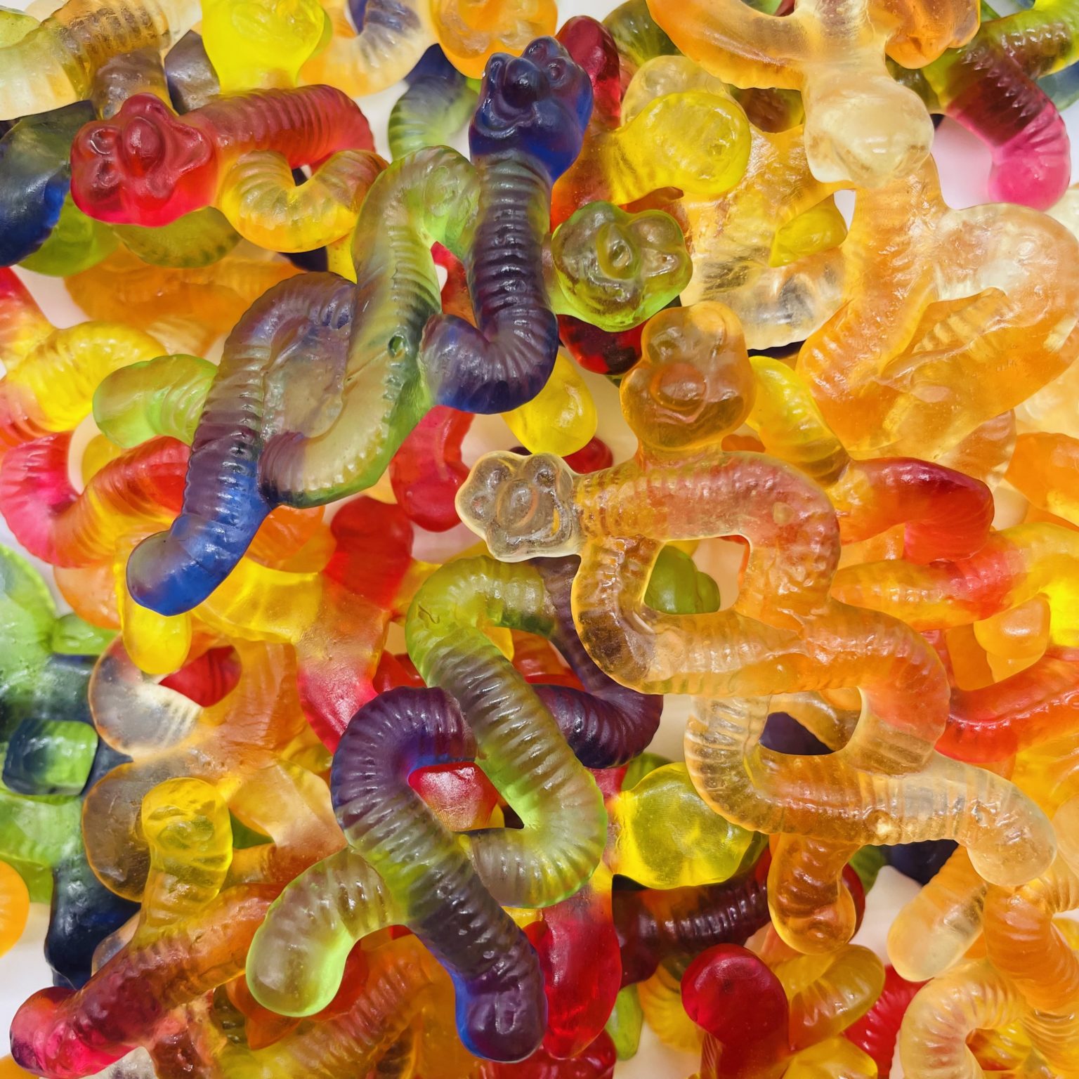 Duo de Ver de Terre / vrac – Bonbon Vibration